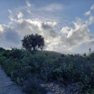 Portolano, il blog di Mesogea: «Frontiera mediterranea» di Valentina Maurella